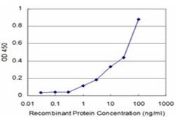 Invitrogen THRAP5 Monoclonal Antibody (3B10) 100 &mu;g; Unconjugated:Antibodies,