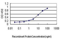 Invitrogen SH2D3C Monoclonal Antibody (2E3) 100 &mu;g; Unconjugated:Antibodies,