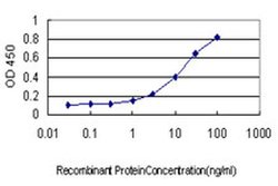SH2D3C Monoclonal Antibody (1B6):Antibodies, Monoclonal