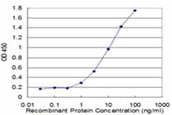 Invitrogen ACTR1A Monoclonal Antibody (3E5) 100 &mu;g; Unconjugated:Antibodies,
