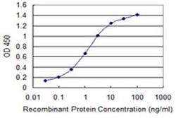 Invitrogen RBM12 Monoclonal Antibody (1D12) 100 &mu;g; Unconjugated:Antibodies,