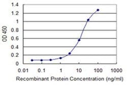 Invitrogen TSHZ1 Monoclonal Antibody (2F1) 100 &mu;g; Unconjugated:Antibodies,
