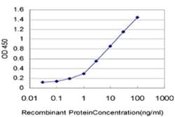 Invitrogen SNAPC5 Monoclonal Antibody (5C3) 100 &mu;g; Unconjugated:Antibodies,