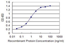 Invitrogen KLHL41 Monoclonal Antibody (1H3) 100 &mu;g; Unconjugated:Antikroppar