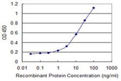 B3GNT3 Monoclonal Antibody (1A2), Invitrogen 100 &mu;g; Unconjugated:Antibodies,