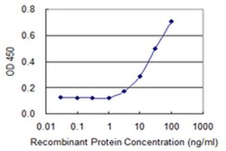 ABCA10 Monoclonal Antibody (8F4) 100 &mu;g | Buy Online | Invitrogen | Fisher Scientific