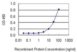 Invitrogen OLFM1 Monoclonal Antibody (2G12-1B3) 100 &mu;g; Unconjugated:Antibodies,