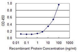 Invitrogen CRMP3 Monoclonal Antibody (1F5) 100 &mu;g; Unconjugated:Antibodies,