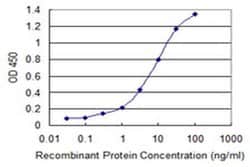 Invitrogen HP1 beta Monoclonal Antibody (4E12) 100 &mu;g; Unconjugated:Antibodies,