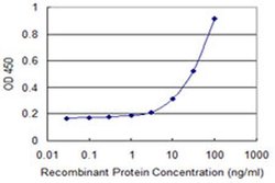 Invitrogen SALF Monoclonal Antibody (1F3) 100 &mu;g; Unconjugated:Anticuerpos