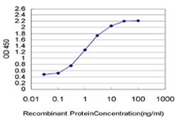 PWP1 Monoclonal Antibody (3A11):Antikroppar