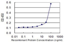 Invitrogen PROSC Monoclonal Antibody (2G1) 100 &mu;g; Unconjugated:Antibodies,