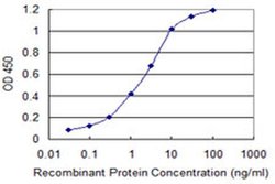 Invitrogen ZNF365 Monoclonal Antibody (2E3) 100 &mu;g; Unconjugated:Antibodies,
