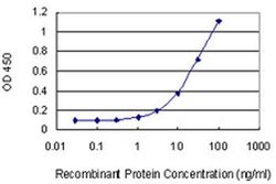 Invitrogen LFG Monoclonal Antibody (2C2) 100 &mu;g; Unconjugated:Antibodies,