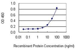 Invitrogen LPIN1 Monoclonal Antibody (3D9) 100 &mu;g; Unconjugated:Antibodies,