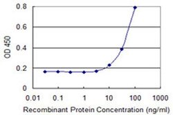 Invitrogen SIN3B Monoclonal Antibody (2C11) 100 &mu;g; Unconjugated:Antibodies,