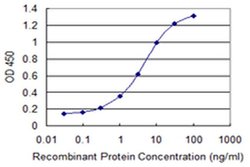 Invitrogen NCS1 Monoclonal Antibody (3E7) 100 &mu;g; Unconjugated:Antibodies,