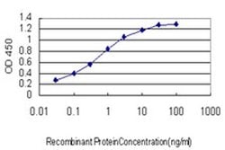 Invitrogen SLC35A3 Monoclonal Antibody (4B6) 100 &mu;g; Unconjugated:Antibodies,