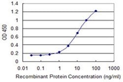 Invitrogen SEC14L2 Monoclonal Antibody (2E5) 100 &mu;g; Unconjugated:Antibodies,
