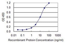 Invitrogen MKRN1 Monoclonal Antibody (4E9) 100 &mu;g; Unconjugated:Antibodies,