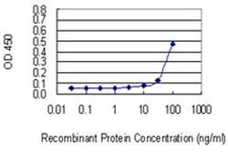 FLRT1 Monoclonal Antibody (4E10):Antibodies, Monoclonal