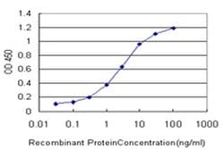 Invitrogen CBY1 Monoclonal Antibody (2F2) 100 &mu;g; Unconjugated:Antibodies,