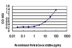 Invitrogen CHMP2B Monoclonal Antibody (2H6-1E6) 100 &mu;g; Unconjugated:Antibodies,