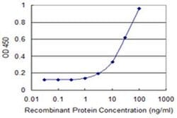 REXO2 Monoclonal Antibody (2B5):Antibodies, Monoclonal