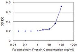 Invitrogen WSB1 Monoclonal Antibody (3E10) 100 &mu;g; Unconjugated:Antibodies,