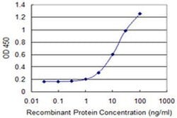 Invitrogen SULT1C2 Monoclonal Antibody (4D9) 100 &mu;g; Unconjugated:Antibodies,