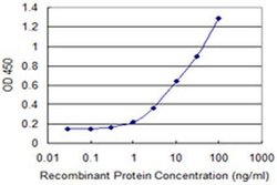 Invitrogen LSM1 Monoclonal Antibody (4F7) 100 &mu;g; Unconjugated:Antibodies,