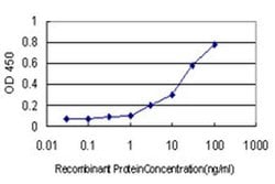 Invitrogen KCNMB4 Monoclonal Antibody (1G7) 100 &mu;g; Unconjugated:Antibodies,
