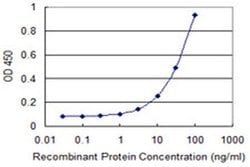 Invitrogen APOBEC3C Monoclonal Antibody (3E6) 100 &mu;g; Unconjugated:Antibodies,