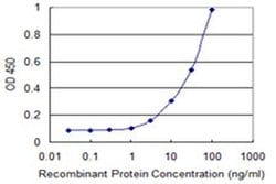 POMT2 Monoclonal Antibody (1D9):Antibodies, Monoclonal