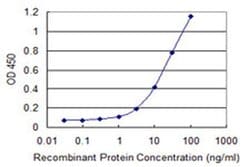 Invitrogen ASB3 Monoclonal Antibody (3E5) 100 &mu;g; Unconjugated:Antibodies,
