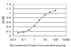 Invitrogen SCAND1 Monoclonal Antibody (2F11) 100 &mu;g; Unconjugated:Antibodies,