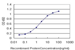 SCAND1 Monoclonal Antibody (2F11), Invitrogen&trade; 100 &mu;g; Unconjugated 