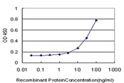 Invitrogen HSFX1 Monoclonal Antibody (1D7) 100 &mu;g; Unconjugated:Antibodies,