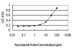 Invitrogen GPR89B Monoclonal Antibody (4D8) 100 &mu;g; Unconjugated:Antibodies,