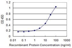 NCKIPSD Monoclonal Antibody (2E4):Antibodies, Monoclonal