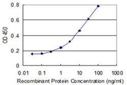 GINS2 Monoclonal Antibody (3H4):Antibodies, Monoclonal