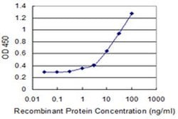 Invitrogen ZNF44 Monoclonal Antibody (4E2) 100 &mu;g; Unconjugated:Antibodies,