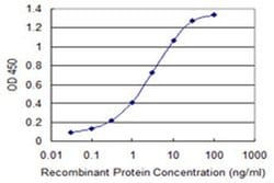 Invitrogen ZDHHC13 Monoclonal Antibody (2A4) 100 &mu;g; Unconjugated:Antibodies,