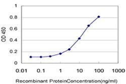 DYM Monoclonal Antibody (1C2), Invitrogen 100 &mu;g; Unconjugated:Antibodies,