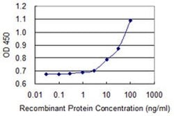Aprataxin Monoclonal Antibody (2H6):Antibodies, Monoclonal