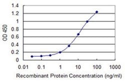 Invitrogen MSL2 Monoclonal Antibody (3A4) 100 &mu;g; Unconjugated:Antibodies,