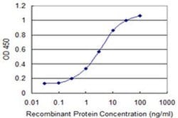 Invitrogen GIMAP4 Monoclonal Antibody (1D8) 100 &mu;g; Unconjugated:Antibodies,