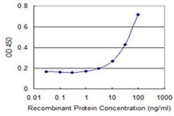 Invitrogen PARL Monoclonal Antibody (4F4) 100 &mu;g; Unconjugated:Antibodies,