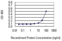 Invitrogen NALP2 Monoclonal Antibody (1B10) 100 &mu;g; Unconjugated:Antibodies,