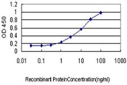 Invitrogen LMO3 Monoclonal Antibody (3G7) 100 &mu;g; Unconjugated:Antibodies,